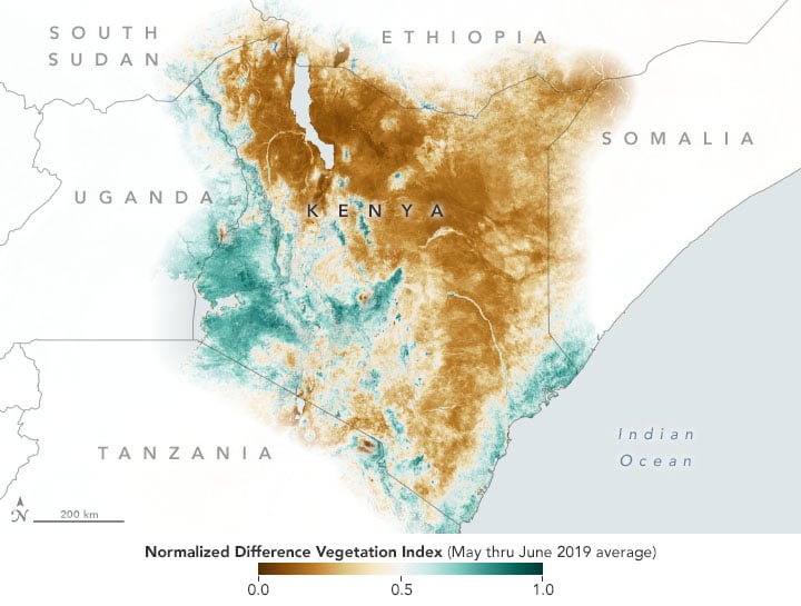 kenya food insecurity satellite data NDVI