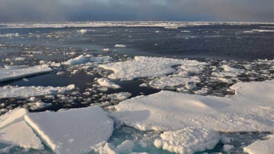 As Arctic Sea Ice Hits Annual Maximum, Concern Grows Over Polar Ice Loss: Studies