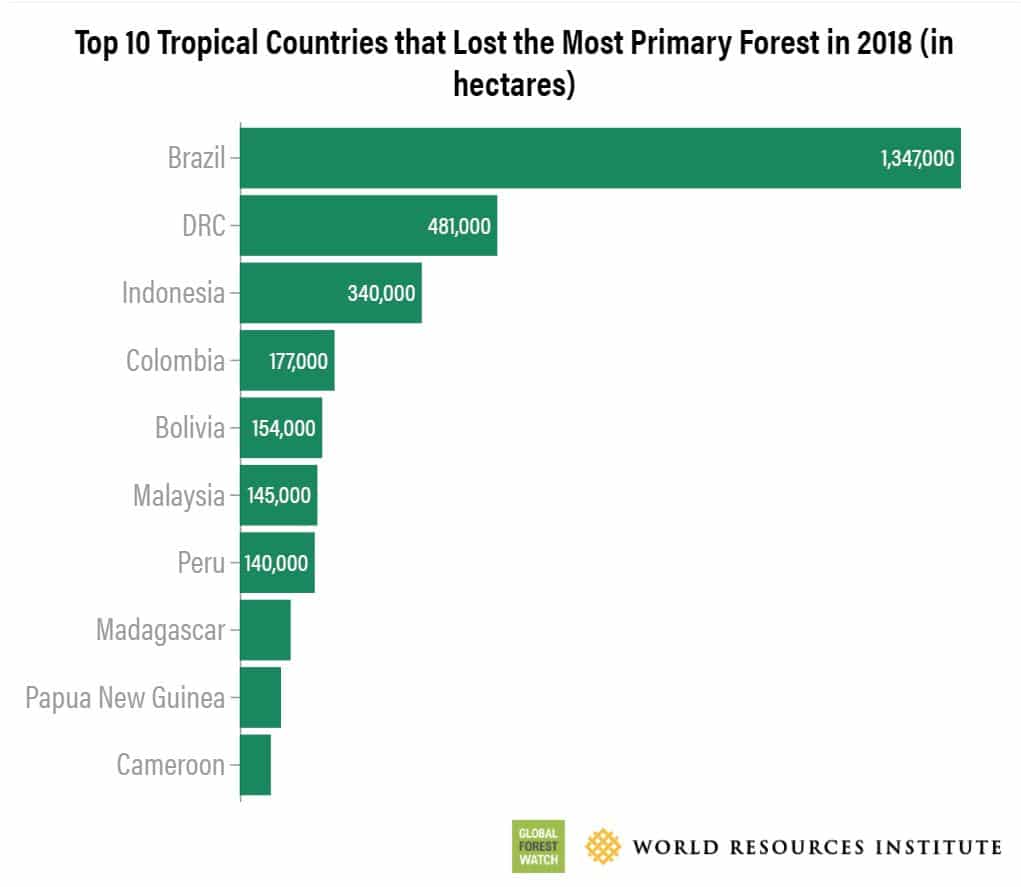 primary forest loss by country in 2019