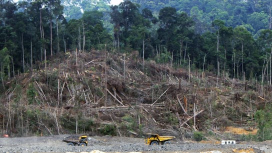 Illegal Coal Mine Tunnels Threaten a Village in Sumatra