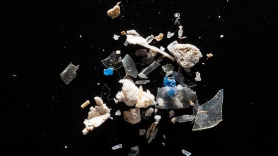 Marine Microplastics Are Now Invading the Atmosphere, Study Finds