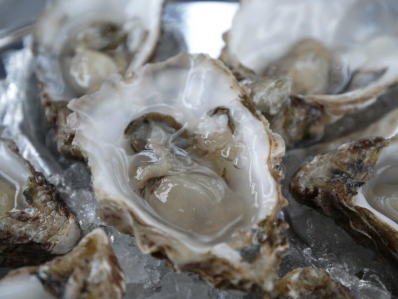 The Benefits, Challenges of Protecting Oyster Reefs in Hong Kong