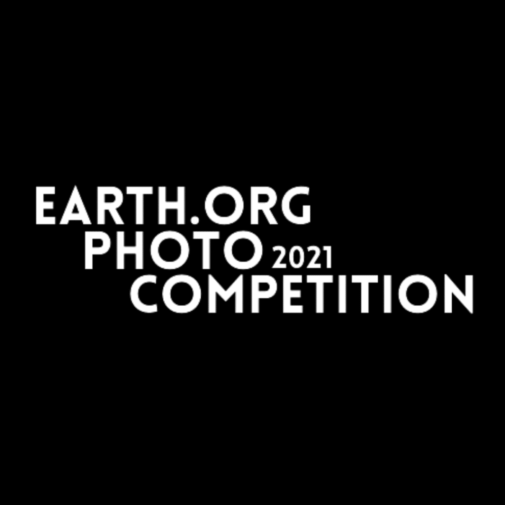 Earth.Org Photography Competition 2021: Judges, Participants