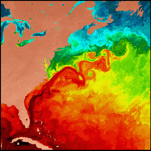 gulf stream temperature map