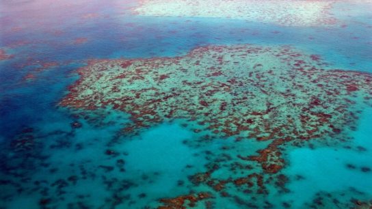 New Australian Marine Parks Protect Area Twice Great Barrier Reef’s Size