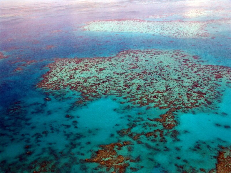 New Australian Marine Parks Protect Area Twice Great Barrier Reef’s Size