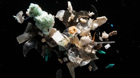 Microplastics in the Marine Environment and its Climate Implications: How to Overcome the Impacts?