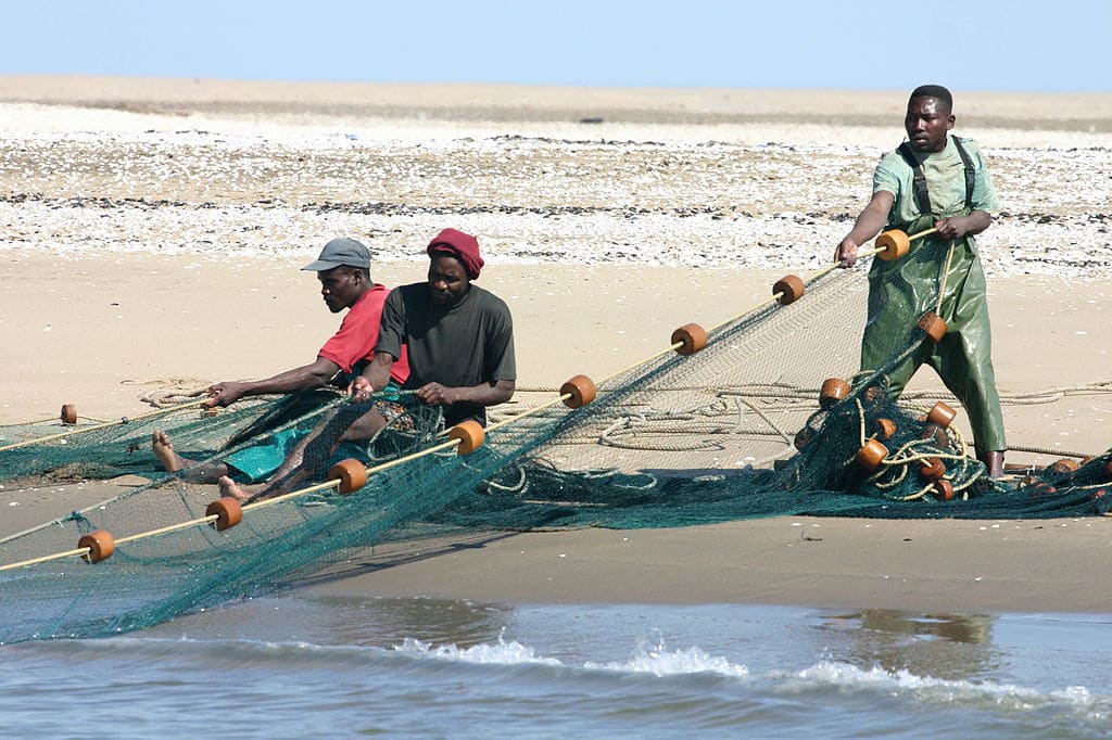 Why Namibia’s Marine Resource Act Considered One of The Most Successful Fisheries Management Policy In The World