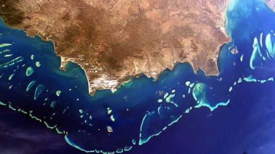 Australia Prevents UNESCO Downgrading the Great Barrier Reef To “In Danger”