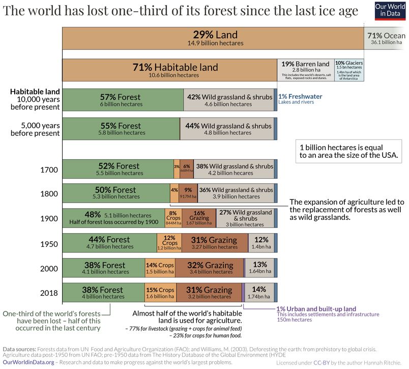 long term land use change deforestation environmental problems
