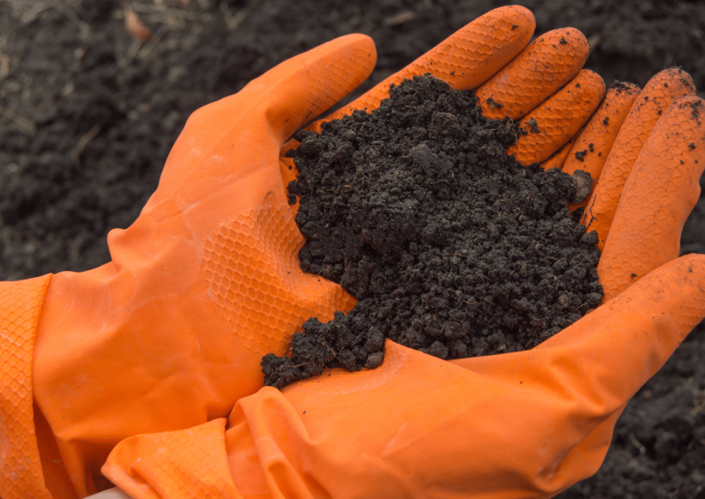 World‘s Soils Currently “Under Great Pressure”, says UN Pollution Report