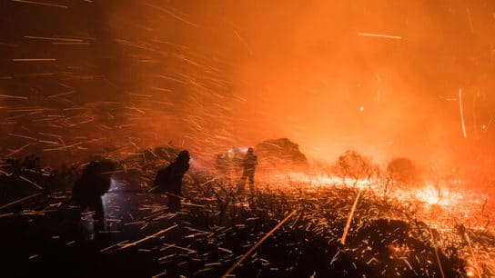 Unprecedented Wildfires in Siberia Burn Down More Than 1 Million Hectares of Land