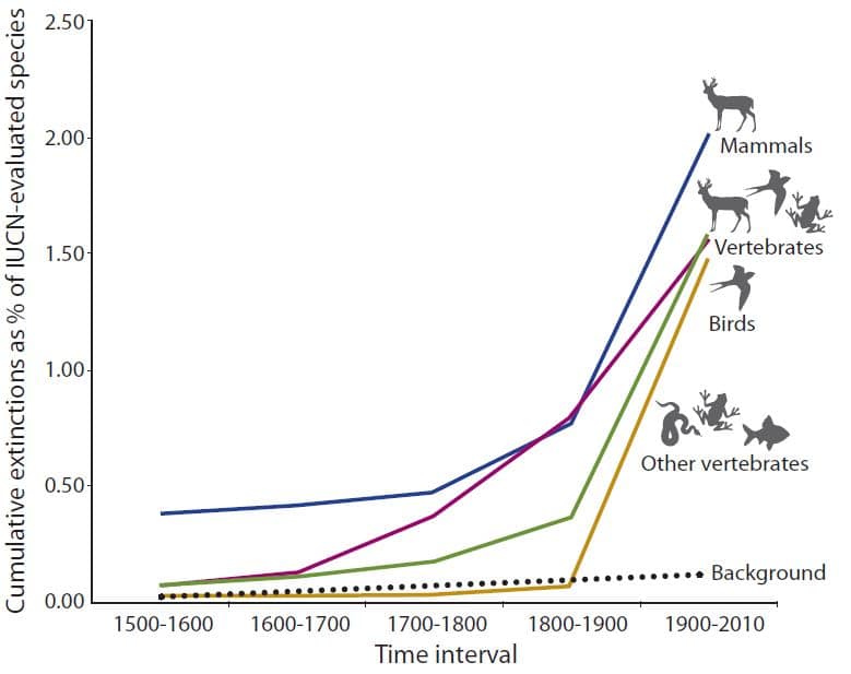 6th mass extinction extion rates