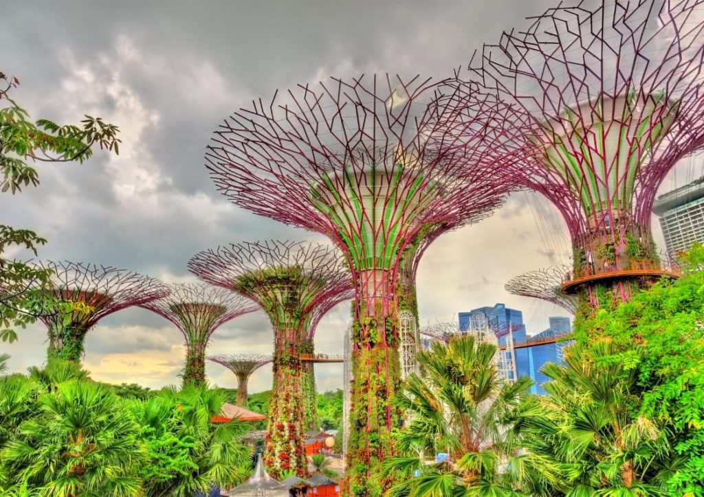 How Sustainable Cities like Singapore Succeed in Green Urban Development