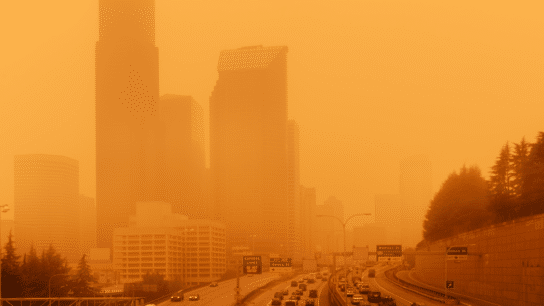 15 Most Polluted Cities in the US