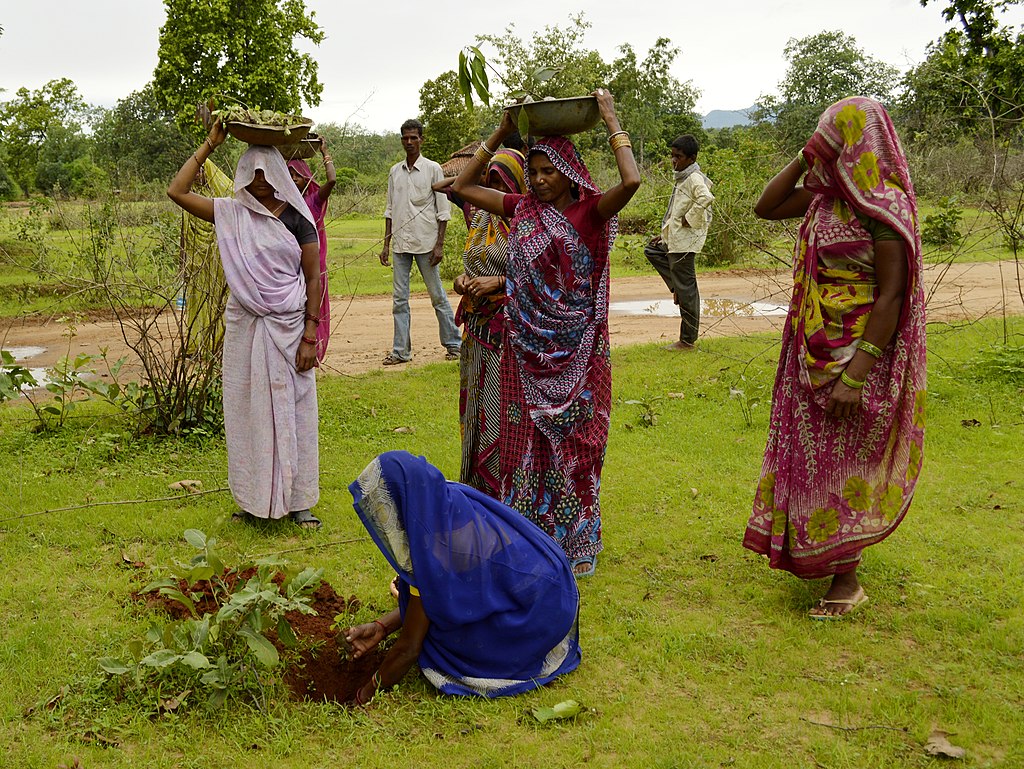 Annual Tree Planting Drive in India Sees 250 Million Saplings Planted in a Day