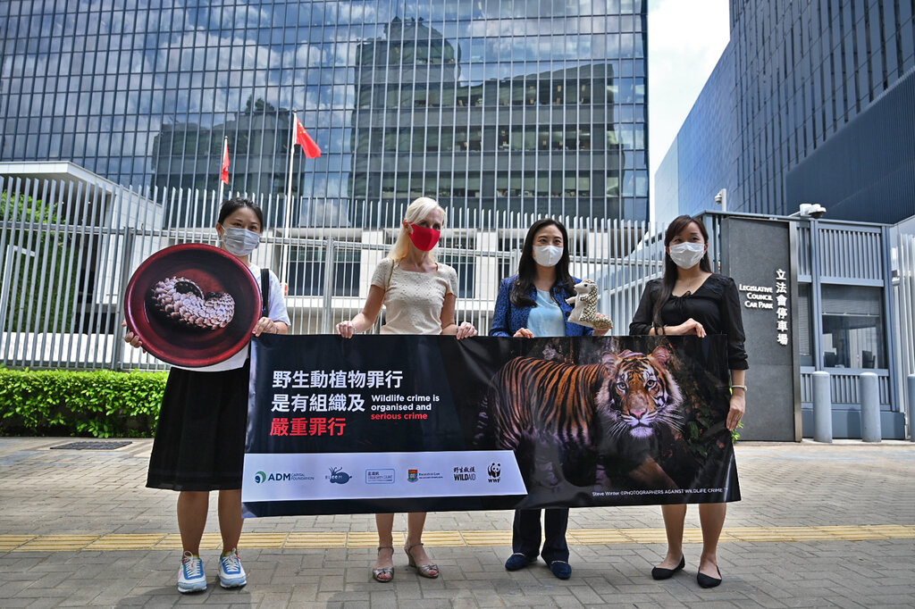 Hong Kong Passes Landmark Bill to Charge Animal Trafficking As A Serious Crime