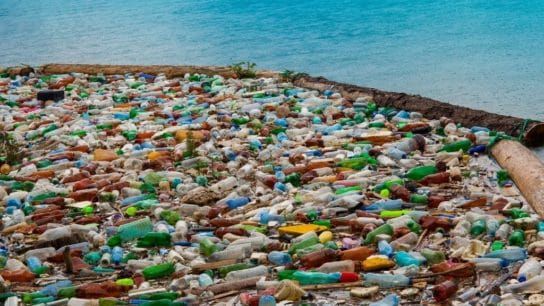 What is the Great Garbage Patch?