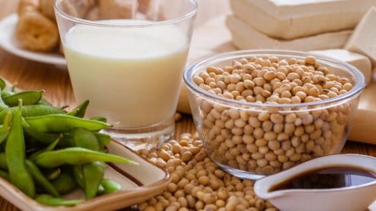 Soybean Products and Its Environmental Impact