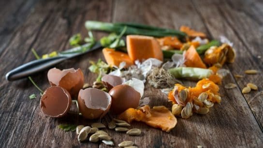 What is Food Waste?
