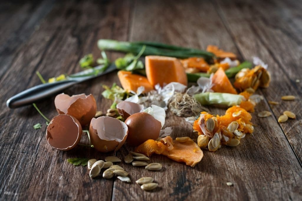 What is Food Waste?