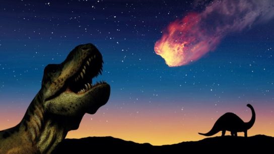 The World’s Mass Extinction Events, Explained