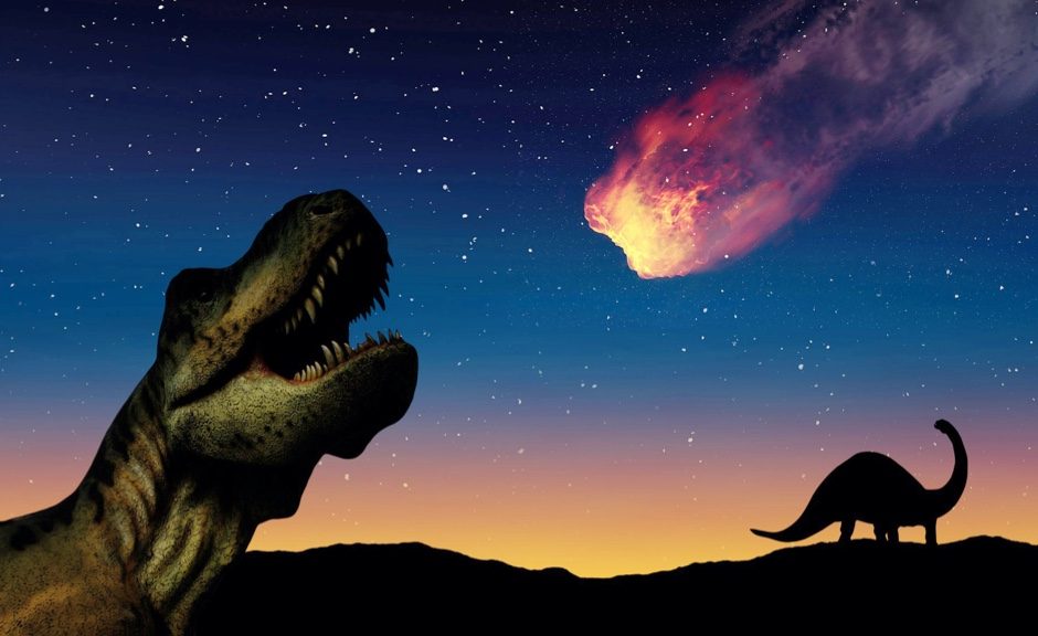 What and When Were the Mass Extinction Events?