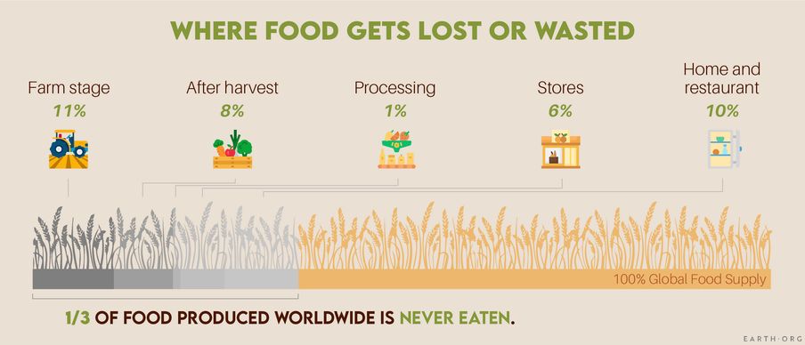 food waste statistics, what is food waste