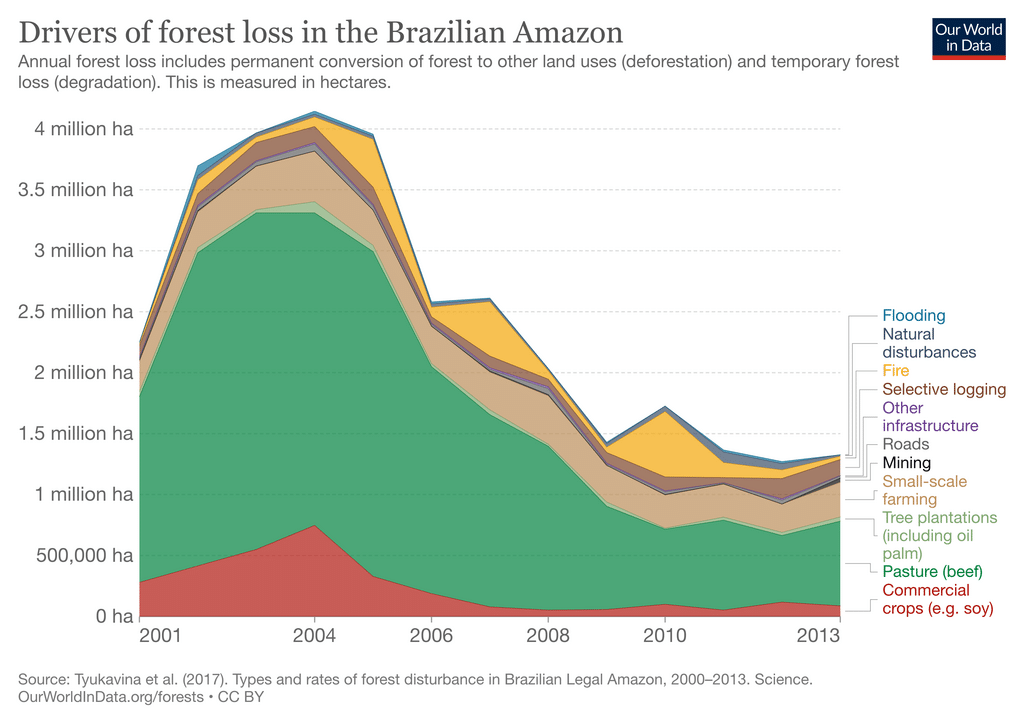 hechos de la deforestación de la selva amazónica