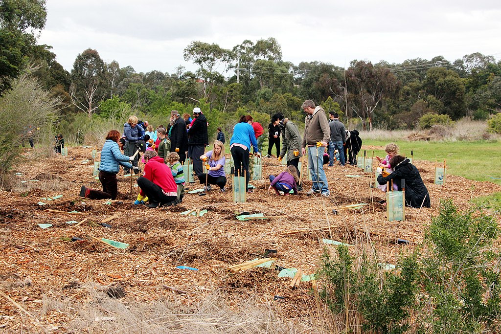 Hold the Tree Planting: Protect Ecosystems First for Maximum Carbon Storage