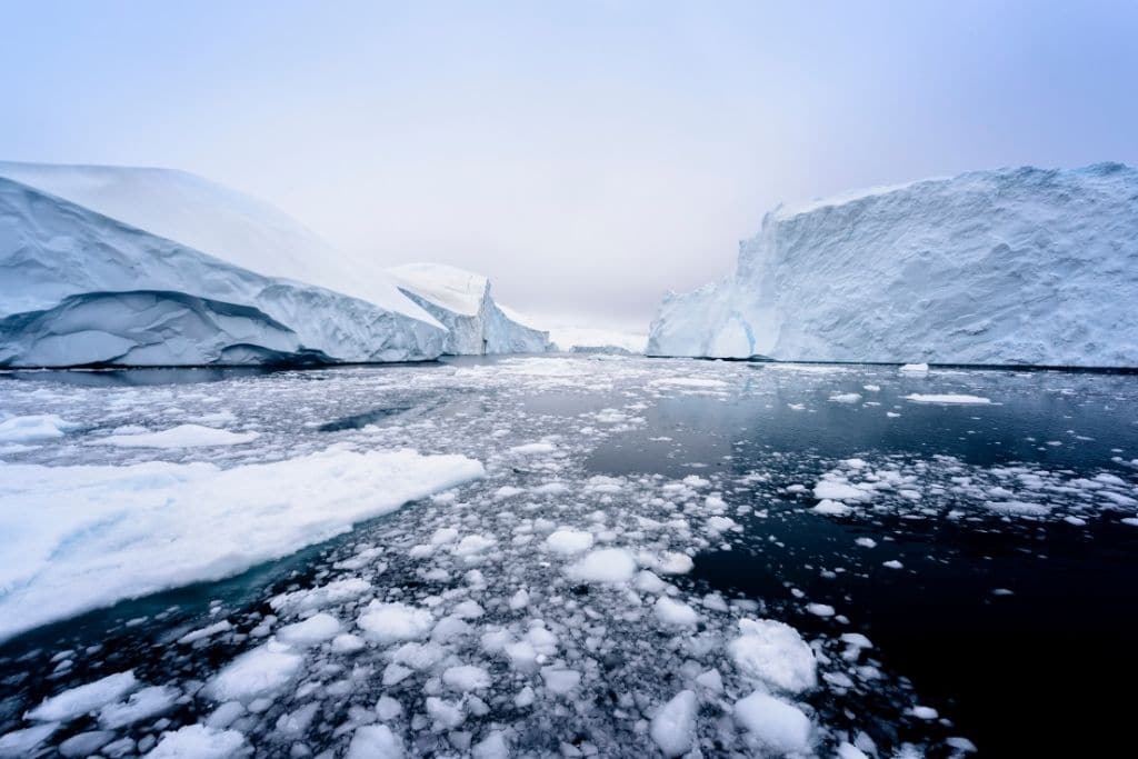 Hottest Temperature in the Arctic Recorded in 2020, UN Confirms