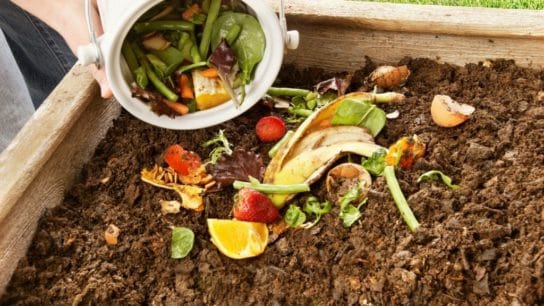 California to Launch Largest Food Waste Recycling Programme in the US