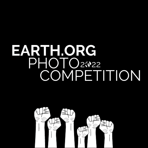 Earth.Org Photo Competition