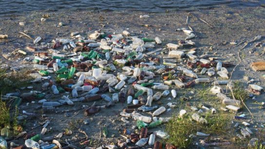 US is World’s Biggest Contributor to Plastic Waste, Report Finds