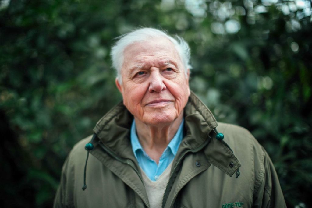 New David Attenborough Film Sounds Alarm on Planetary Boundaries, But Offers Hope
