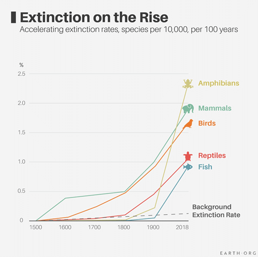 extinction eo Index