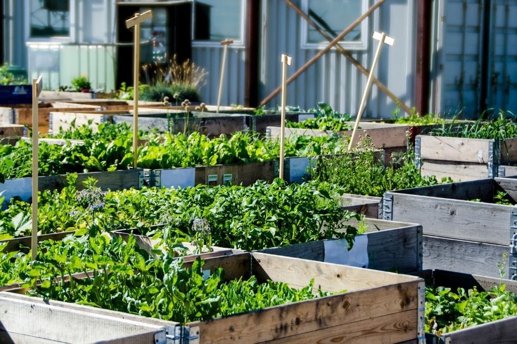 features of sustainable cities and society, urban farming