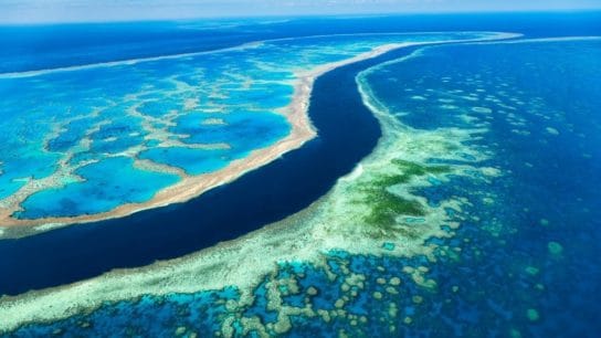 Morrison Pledges $1bn to Protect the Great Barrier Reef from Climate Change