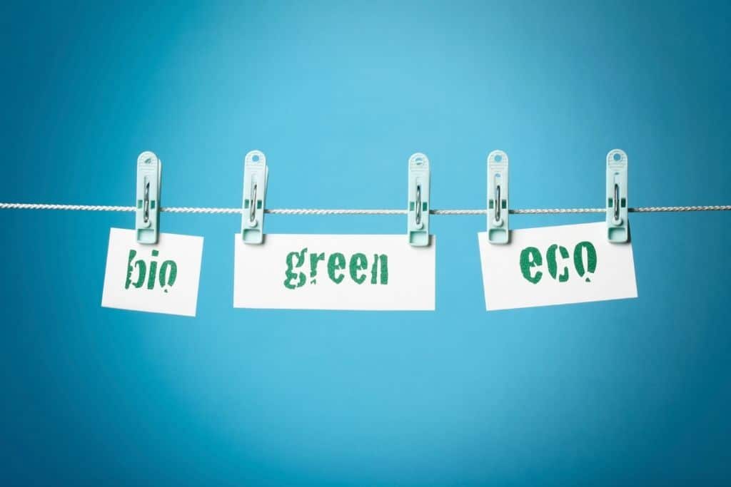 What Is Greenwashing in Marketing?