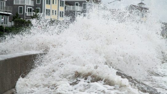 Scientists Predict At Least One Foot of Sea Level Rise by 2050 in the US