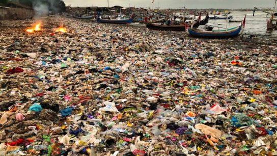 8 Shocking Plastic Pollution Statistics to Know About
