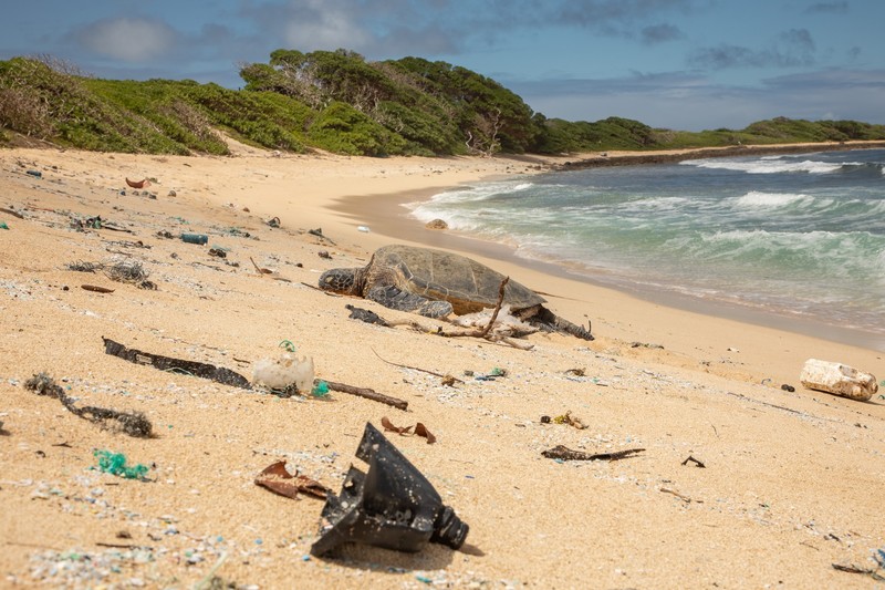 plastic pollution in hawaii