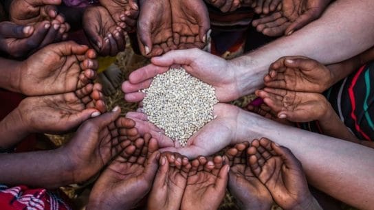 Why Global Food Security Matters in 2023