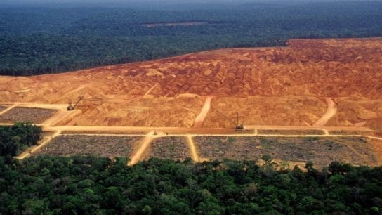Amazon Rainforest Tipping Point is Closer Than Ever, Data Shows