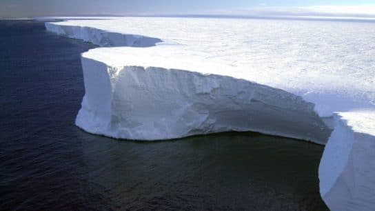 Unprecedented High Temperatures in Antarctica and the Arctic Alarm Scientists