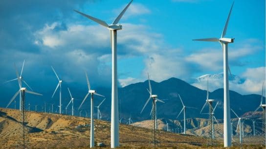 10 Incredible Facts about Wind Energy That Will Blow You Away