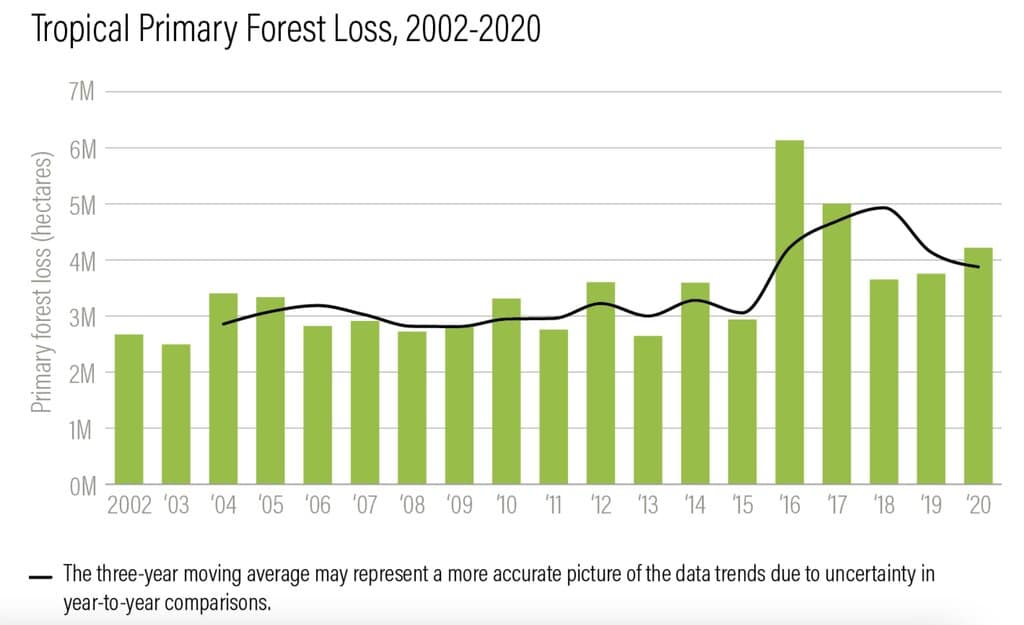 Tropical primary forest loss