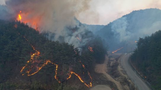 Thousands Evacuate and 160 Homes Destroyed by South Korea Forest Fire