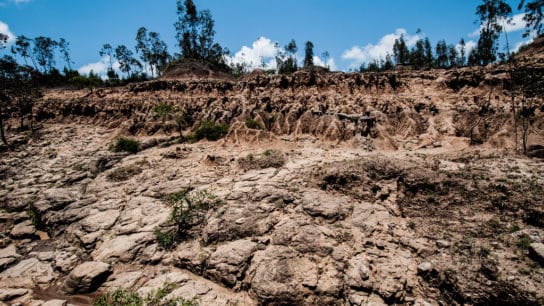 Human Activities Have Degraded 40% of Land on Earth, UN Reports