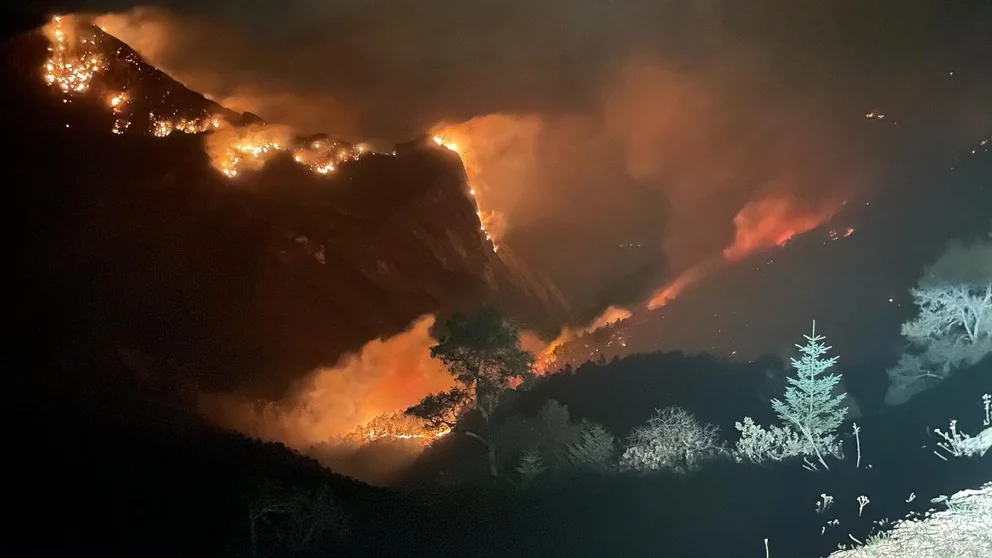 Meksikos miškų gaisrai